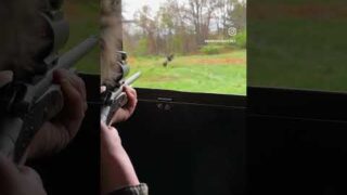 2023 Spring Gobbler dropped in its tracks by 410! #turkeyhunting #springturkey #turkey