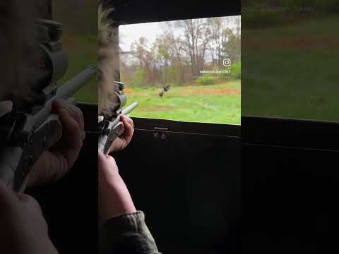 2023 Spring Gobbler dropped in its tracks by 410! #turkeyhunting #springturkey #turkey