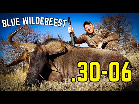 .30-06 vs Wildebeest [DROPPED with Perfect Shot Placement] – Big Game Hunting Adventures