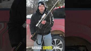 An Average Coyote Hunt!