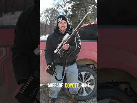 An Average Coyote Hunt!