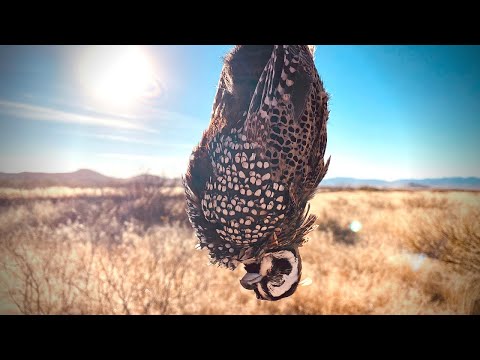 Arizona Upland Slam | The Flush: Season 12, Episode 12