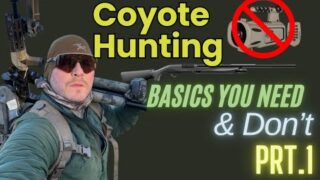 Beginner's Guide to Coyote Hunting: Must Have Gear!