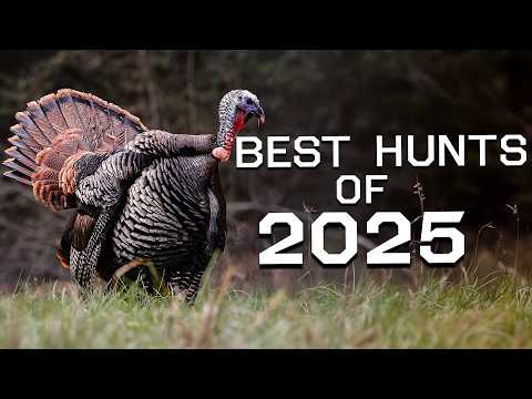 Best Turkey Hunts of 2025 | Action Packed Turkey Hunting