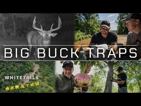 BIG BUCK TRAPS | 10 Habitat Improvements for GIANT Whitetails…
