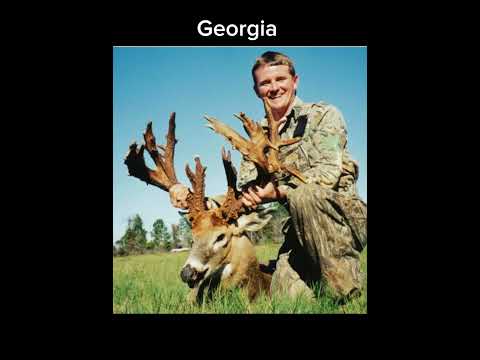 Biggest buck killed in each state pt3 #deerhunting#outdoors