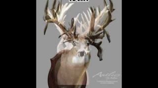 Biggest non typical whitetail killed in each state pt9 #hunting #deerhunting #bigbucks #4Aoutdoors