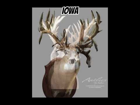 Biggest non-typical whitetail killed in each state pt9 #hunting #deerhunting #bigbucks #4Aoutdoors