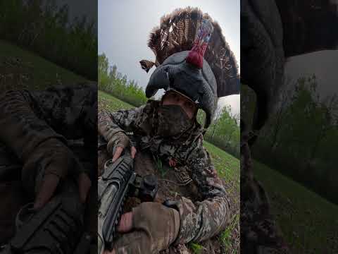 CRAZY TURKEY HUNT!