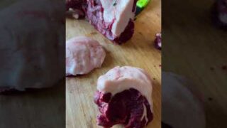 Disease from eating black bear meat: Trichinellosis #shorts