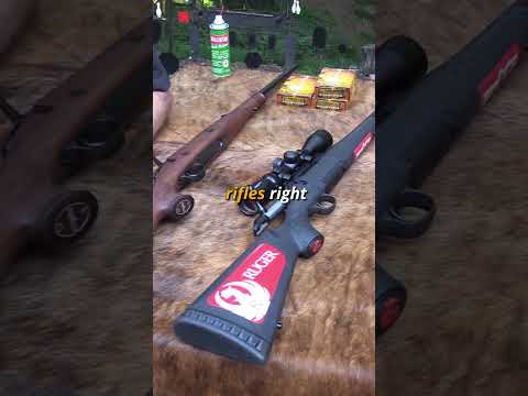 Do You Really Need An Expensive Hunting Rifle?