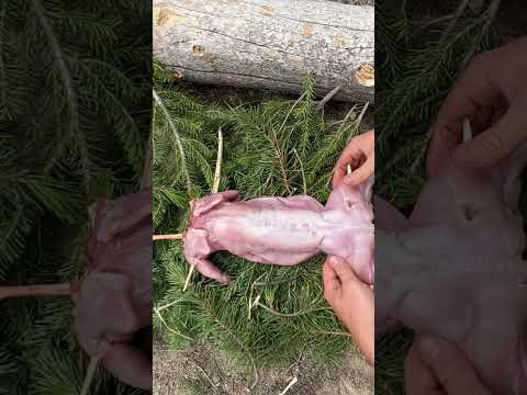 EASY Campfire Rabbit Roast #rabbit #campfire #camping #outdoorskills
