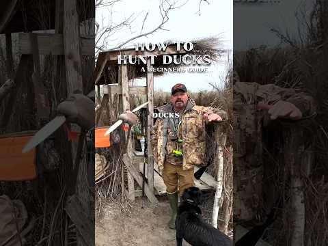🦆 HOW TO HUNT DUCKS FOR BEGINNERS