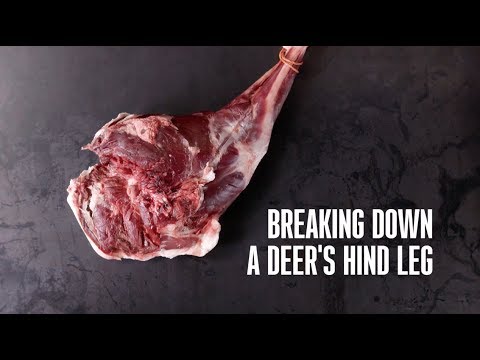 How to Break Down a Deer's Hind Leg 101 with MeatEater