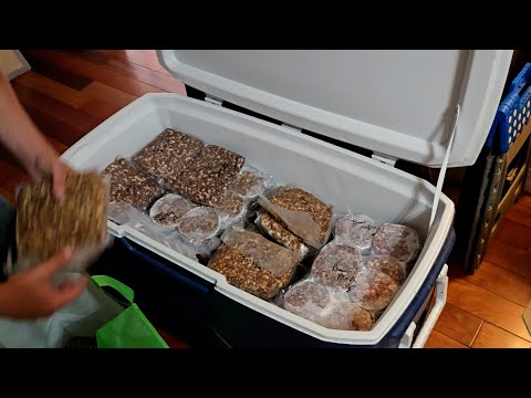 How to make Black Bear Sausage.  Comprehensive review from processing to storing.