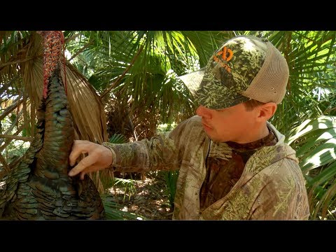 How to Pluck and Clean a Turkey with Steven Rinella – MeatEater