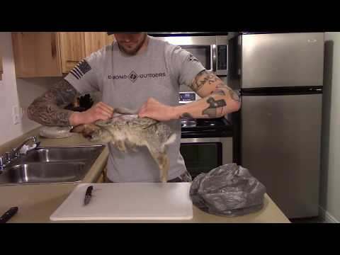HUNTING & COOKING How to Field Dress & Butcher Small Game