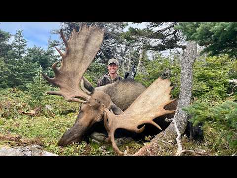 Hunting GIANT Moose in Western Newfoundland | Canada in the Rough