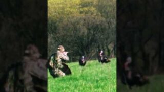Insane Turkey Hunting Shot | 6 YARDS!!! “TURKEY REAPING” #turkeyseason #viralvideos