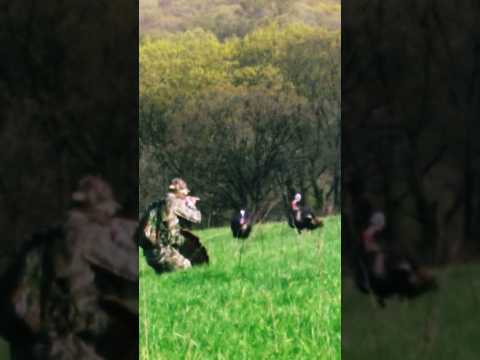 Insane Turkey Hunting Shot | 6 YARDS!!!  “TURKEY REAPING” #turkeyseason #viralvideos