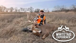 Kansas Whitetail Experience | Giant Buck Encounter in the Midwest | Deer Hunting