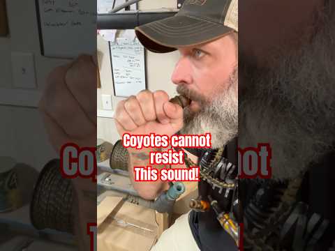 Learn the BEST Way to Master a Closed Reed Coyote Caller