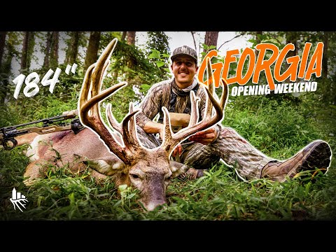 MASSIVE 16 Point Buck – Georgia Whitetail Opening Weekend!
