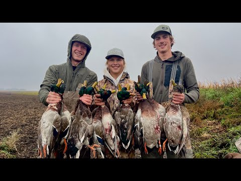North Dakota Duck Hunting Mallard BEATDOWN! (BAND!)