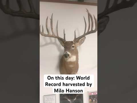 On this day: World Record Typical harvested by Milo Hanson #whitetaildeer #worldrecord #buck