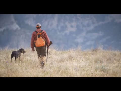 ORVIS Presents: UPLANDER – An Upland Hunting Love Story.