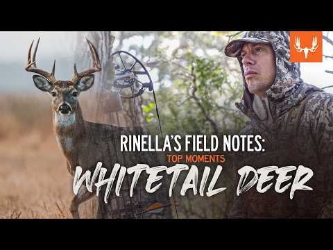 Rinella’s Field Notes | Steve’s Greatest Whitetail Hunts