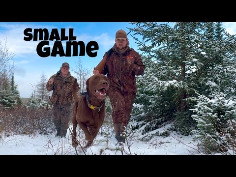 Small Game Hunting with a .410 Shotgun in the Snow ! – Catch & Cook ( COQ AU VIN recipe !)