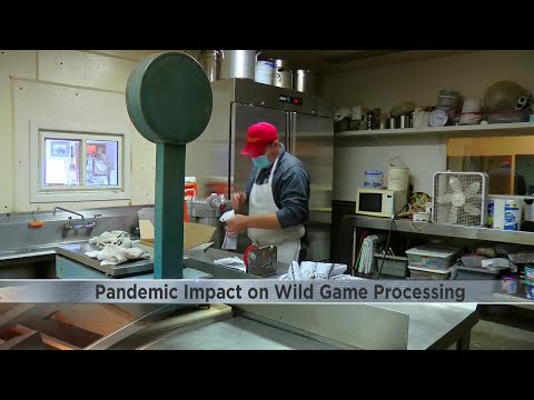 Small meat processors prepare for potential wild game uptick