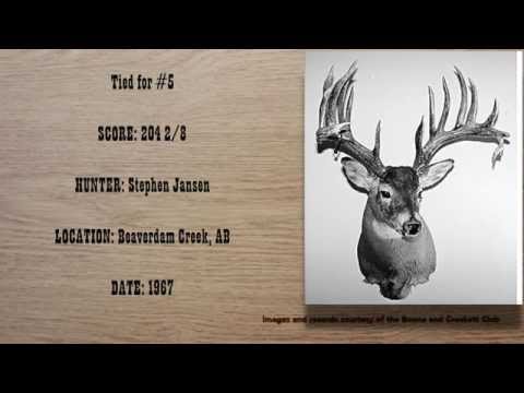 The 10 Biggest Typical Whitetail Deer of All Time