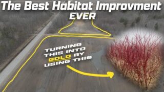 THE BEST HABITAT IMPROVEMENT FOR YOUR DEER!!!(Say no to farmers!!)