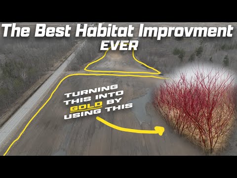 THE BEST HABITAT IMPROVEMENT FOR YOUR DEER!!!(Say no to farmers!!)