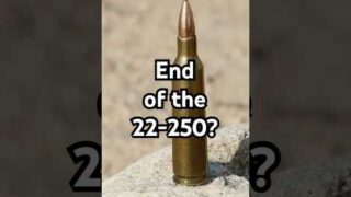 The BEST Predator Cartridge Disappearing? #huntingrifles #hunting #predatorhunting