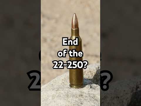 The BEST Predator Cartridge Disappearing? #huntingrifles #hunting #predatorhunting