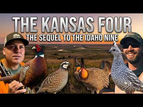 The Kansas Upland Slam: 4 Species in 4 Days
