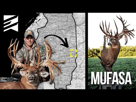 The LARGEST BUCK Ever Harvested "Mufasa" – Brewster Buck
