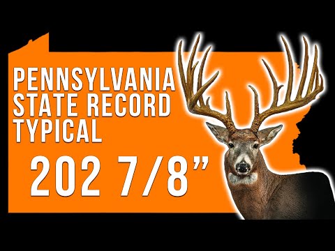 The LARGEST TYPICAL EVER From The East Coast!