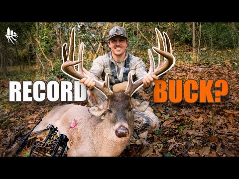 “The Rut”- Story of a Record Book Whitetail
