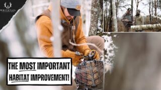 The SINGLE MOST IMPORTANT Habitat Improvement For Your Property!!!