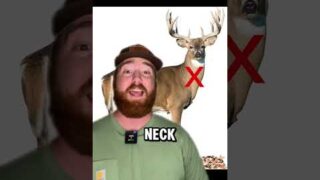 The top 4 BEST places to hit a deer! #hunting #deerhunting