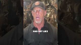 The WORLD RECORD Buck Nobody Knows About? #shorts