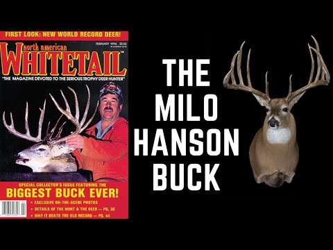 The WORLD RECORD LARGEST TYPICAL BUCK Ever Killed!