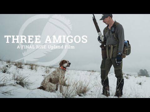 THREE AMIGOS – A FINAL RISE Upland Hunting Film
