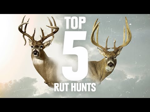Top 5 Whitetail Rut Hunts! Record Breaking & Double Drops!