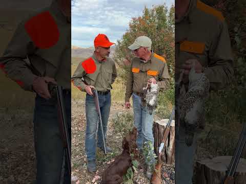 Upland Bird Hunter's Knife