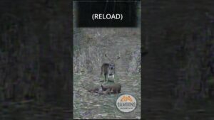 1780508001 maxresdefault.jpg